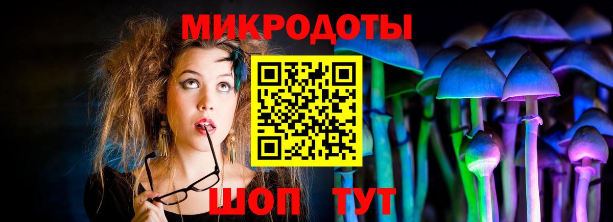 Галлюциногенные грибы прущие грибы Переславль-Залесский