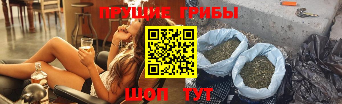 Переславль-Залесский  Псилоцибиновые грибы Cubensis  Вход с VPN 